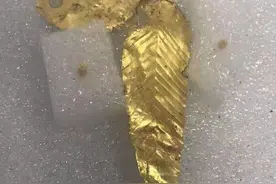 古人也爱做“手办”？三星堆8号坑发现近60件金叶，网友：神树还有叶子！古人审美很前卫图片