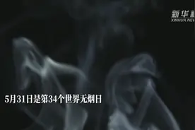 共创无烟世界 拥抱健康生活视频封面