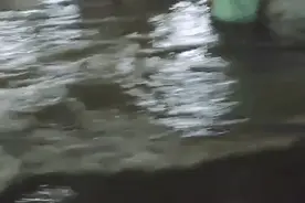 暴雨突袭莆田，多名物业工作人员筑人墙挡水走红网络图片
