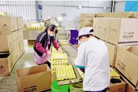一枚鸡蛋带动一个产业链 这家浙企的恩施故事还在继续图片