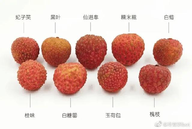 �ҸҴ�ģ�������Ȧ�������ͷ������