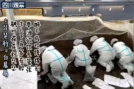 三星堆发掘现场边考古边背诗 网友：全文背诵的正确用法视频封面