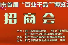 豪横！荆门迄今为止规模最大、参展行业最多的博览会，正式启动！图片
