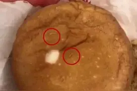 女子吃麦当劳汉堡发现大量活虫怎么回事？麦当劳回应：正常情况下不会发生图片