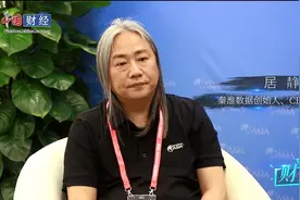 秦淮数据创始人居静：“出海”发展属地化管理很重要图片