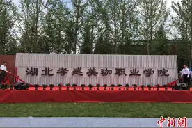 湖北首个台企参与建设的高等职院揭牌图片