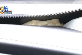 “荣威”半路自动熄火，问题出在车窗下的海绵？图片