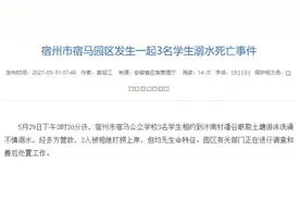 痛心！3个孩子就这么没了……图片