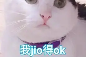 升级版“路怒”！被别人车挡道，男子居然点火把车烧了图片
