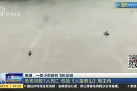 美国：一架小型商务飞机坠毁视频封面