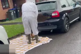 2万只蜜蜂覆盖在汽车牌照上 密密麻麻像团“黑云”图片