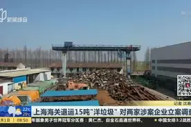 上海海关退运15吨“洋垃圾”  对两家涉案企业立案调查视频封面