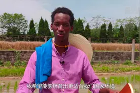Vlog：我在中国学“种地”图片