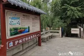 花百元买济南护城河游船全程票，船到半路竟原路折返？市民吐槽：太不值当了图片
