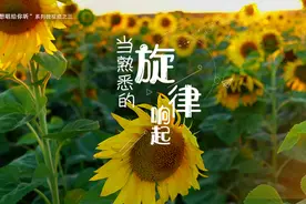 我想唱给你听｜当熟悉的旋律响起……图片