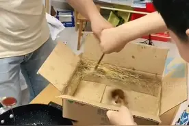 老爸带儿子自制棉花糖机，直接把电风扇拆了，不知老妈看了啥反应图片