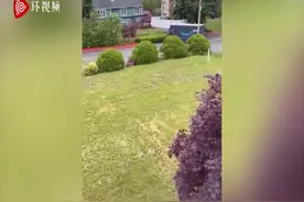 美国女子拍到快递司机崩溃瞬间 坐在车上尖叫发泄图片