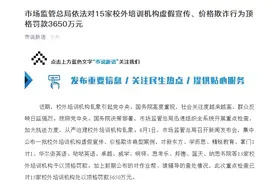 蓝天教育因存在虚假宣传行为遭顶格罚款200万元图片