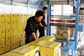 “棚二代”回乡发展40亩大棚，种的西瓜线上“走红”图片