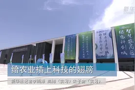 给农业插上科技的翅膀视频封面