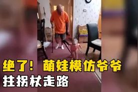 绝了！萌娃模仿爷爷拄拐杖走路 网友：笑得我脸疼视频封面