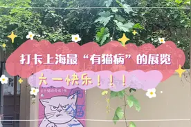 六一快乐！打卡上海最“有猫病”的展览，你见过在猫抓板上画画吗？图片