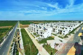 新野：心系田野间 振兴正当时图片