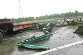 漯河：雨天路滑，高速路上货车失控……图片