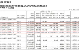 至多亏83亿！上海电气的“雷”是怎么产生的？盘点子公司经营两大疑点图片