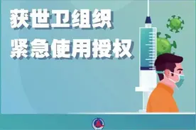 重磅！世卫组织宣布了图片