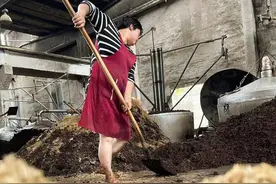 行业观察：揭密酱酒热背后的“幕后”推手 部分省市酱酒已成第一“香”｜封面天天见·吃喝有度图片