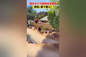 17岁女孩勇敢冲向黑熊，徒手将其推开救下宠物狗，网友：是狠人图片