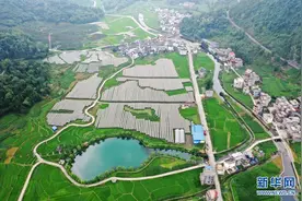 问渠那得清如许——共耕渠的历史传承与时代方位图片