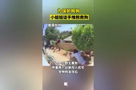 美国17岁少女赤手空拳击退狗熊图片