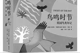 听，鸟儿在鸣叫图片