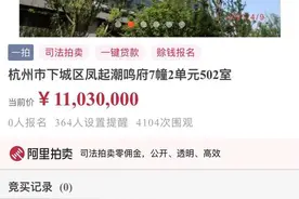 140万元欠款还不上，名下凤起潮鸣豪宅本月被拍卖图片