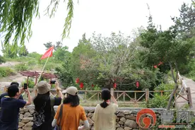 「网络媒体革命老区行」特色产业兴，百姓日子旺 看沂蒙老区的小康路径图片