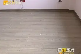 绍兴一住户新装的地板，没多久就钻出了虫子图片