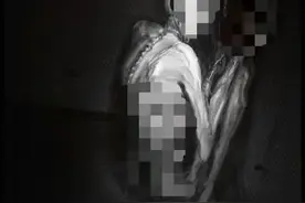 被“邪典”咬蚀的孩子们图片