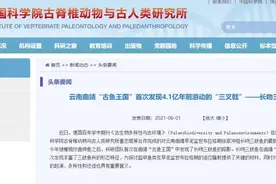 曲靖“古鱼王国”新发现！4.1亿年前游动的“三叉戟”是啥？图片