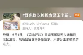 为什么云南野象“旅行团”只吃玉米不吃菠萝？记者问了下动物园的工作人员，答案是挑食？图片