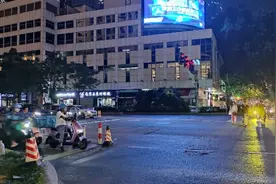 南京“胖哥”等10人被认定见义勇为，将获专门奖励图片