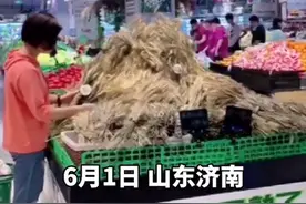 济南一超市把麦穗绑成小把售卖，网友：想起小时候去路边捡麦穗了图片