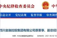 四川金融控股集团有限公司原副总经理王挺被“双开”图片