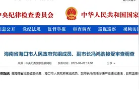 副市长落马一年多后，另一副市长被查图片