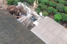 确认！大啖4吨菠萝后，进击的大象抵达昆明，村民：我们把粮食搬上了二楼图片
