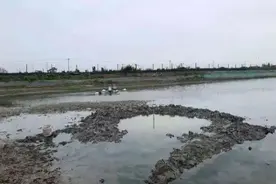 不明物体坠入鱼塘8天未捞出，砸出大坑竟不翼而飞，塘主：希望尽早回归正常养殖生活图片