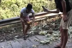 直播吃象群“剩饭”，奇葩主播又出来“作妖”！网友怒了：大象走了，“耍猴”的来了图片