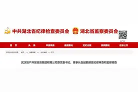 武汉地产开发投资集团原党委书记、董事长白起鹤接受审查调查图片