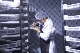 想吃海参，先问自己两个问题图片